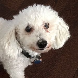 Meet your Posher, Kiera